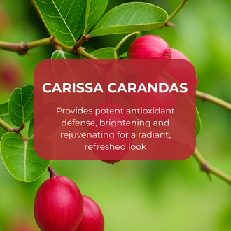 Vitamin C (Carissa Carandas Extract)