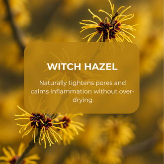 Witch Hazel Extract